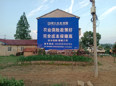 谷城墙体广告为何受追捧？